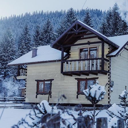 7+Я Villa Verkhovyna Exterior photo