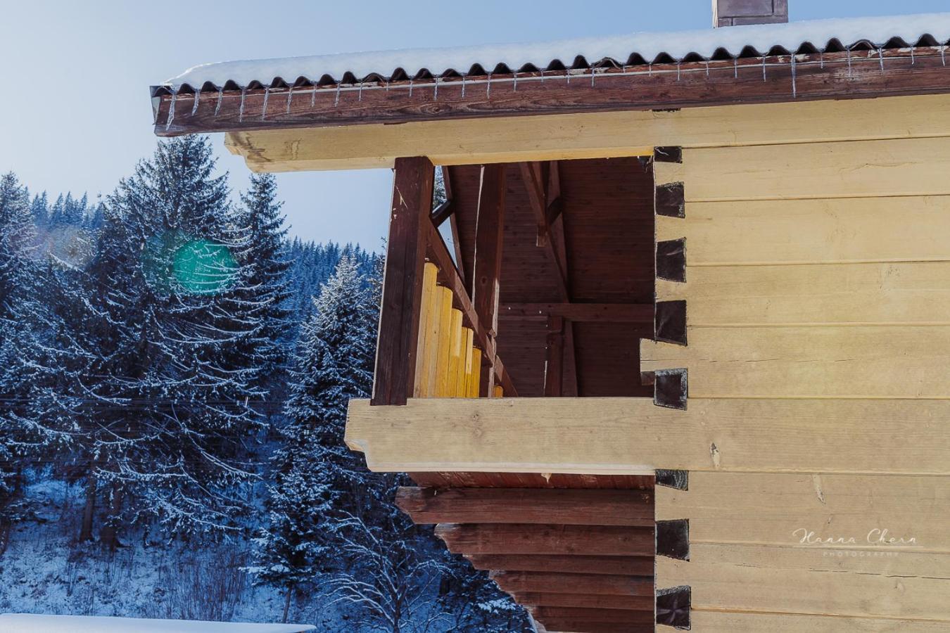 7+Я Villa Verkhovyna Exterior photo